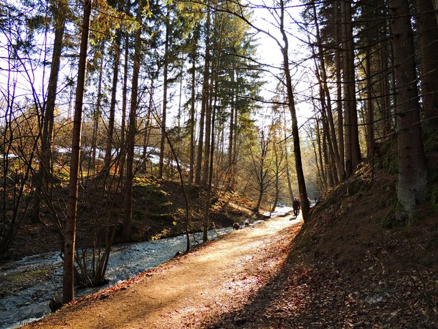 Man könnte das Maibachl als Laune der Natur betrachten – vor allem aber als Geschenk. Denn man kann hier baden, inmitten idyllischer Naturumgebung. Und mit allen heilenden Wirkungen, die unser Warmbader Thermalwasser aufweist.