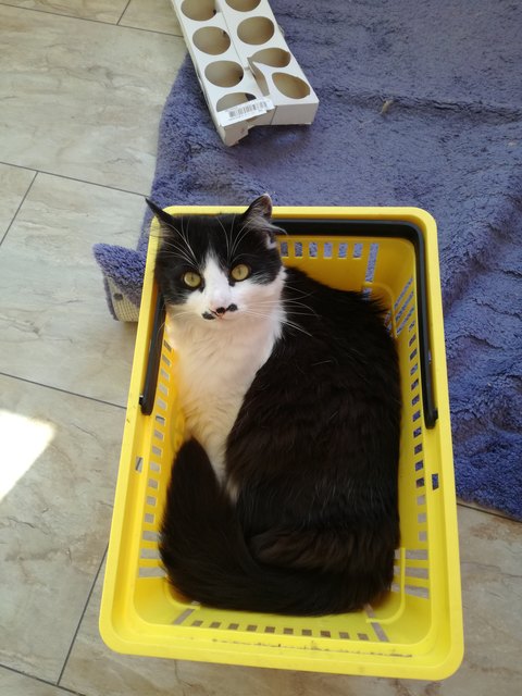 Wir gehen einkaufen!