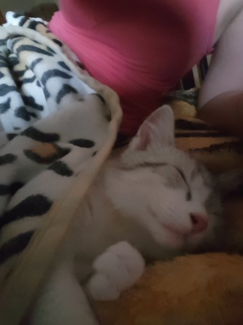Kuscheln mit frauli