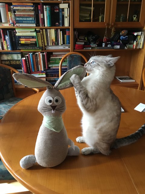 Lilli: Osterhas ich sag dir was