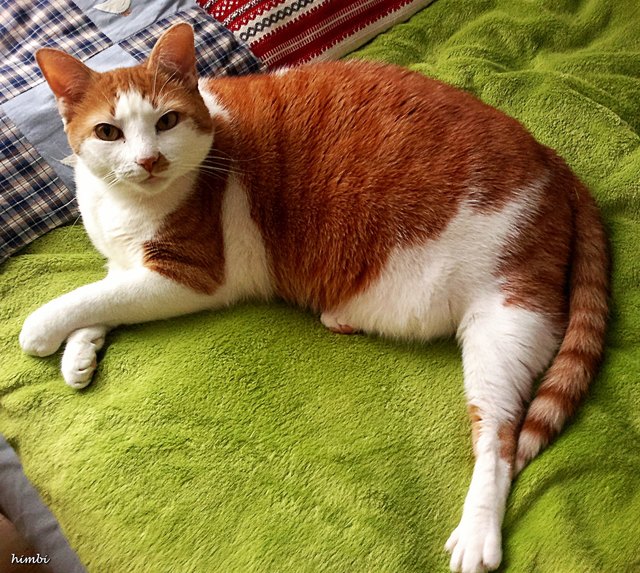 Einfach relaxen