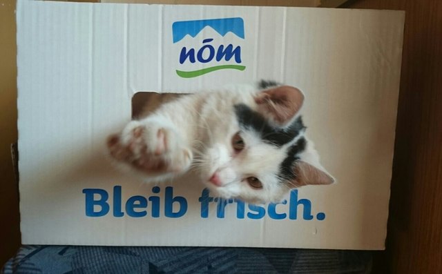 Von Monika Kummer aus Leiben