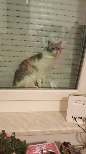 Wenn man zu neugierig ist
