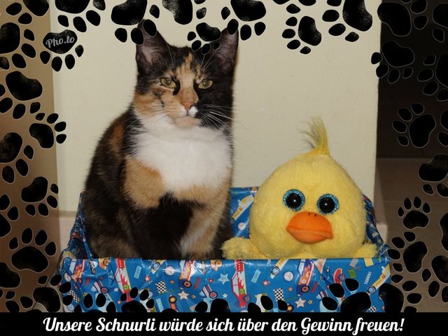 unsere Schnurli