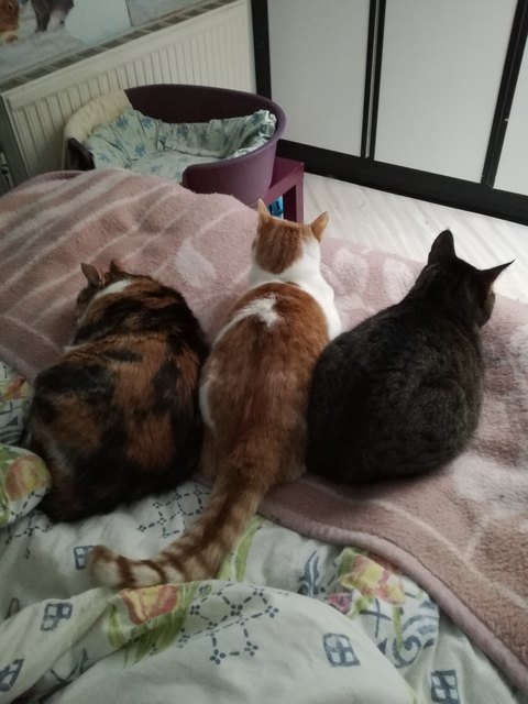 3 schöne Rücken können auch entzücken!