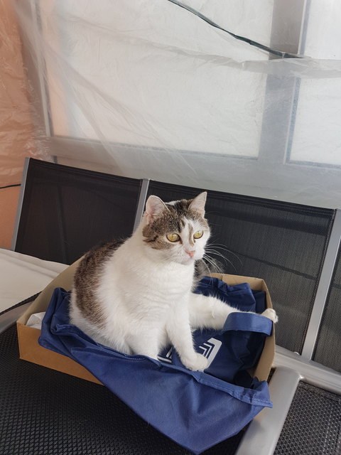 Mein Süßer Liebling bein Sonnenbaden
