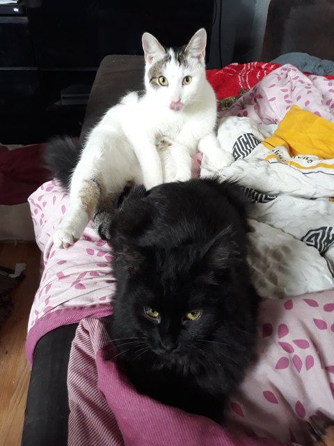 Pina und specki