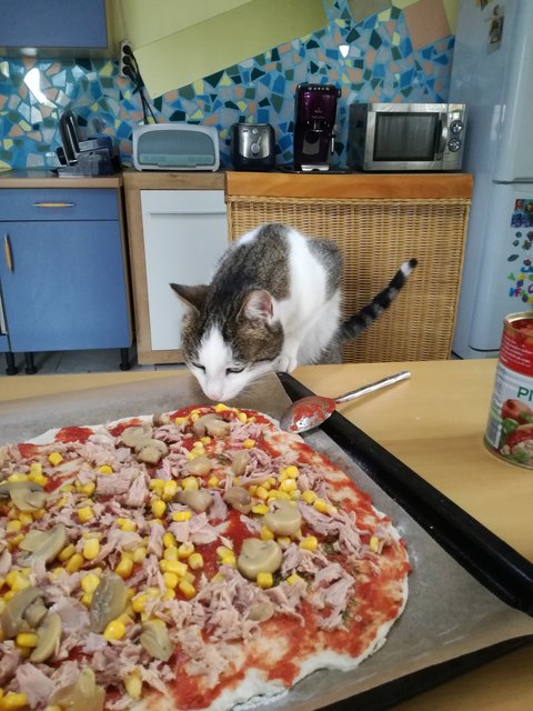 Helfen beim Pizza backen