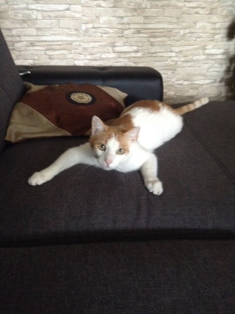 Mein Platz