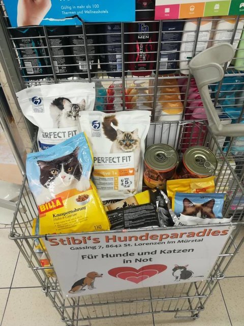 In Spendenschütten bei Billa wird Futter für die Tiertafel in St. Marein bereits gesammelt.