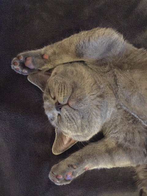 Lenny