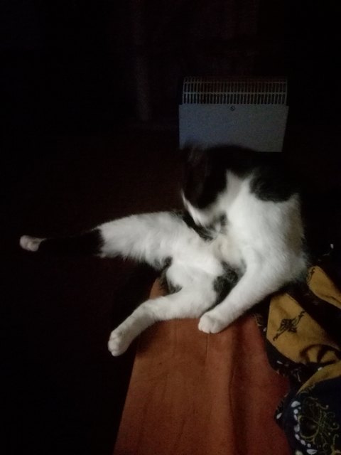 Mein großer Schatz Carlos