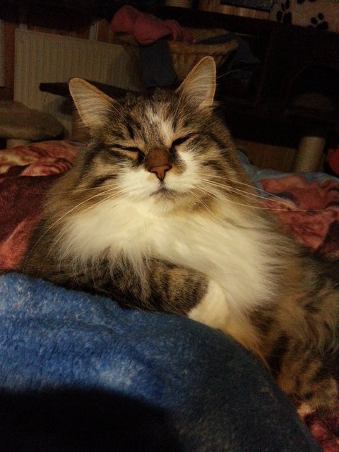 Mr. Leonardo ganz gechilled :)