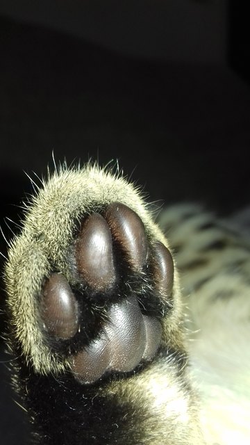 Detailansicht (;