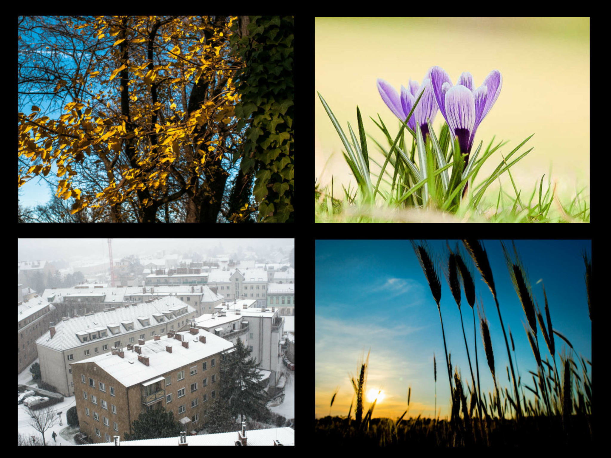 Die vier Jahreszeiten....... - Schwechat