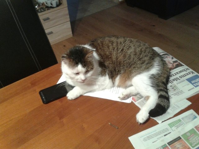 Moritz am Arbeitsplatz