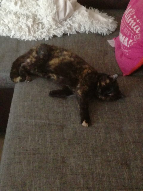 Unsere Nora