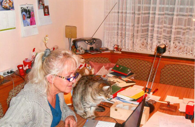 Kater Luzifer von Schödl Christine, Bezirk Krems