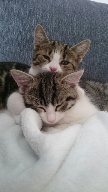 Nika und Jaro