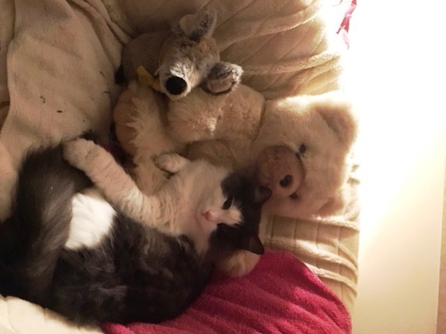 Spicky und friends