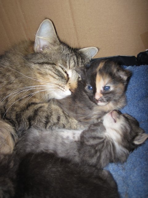 Kuschelzeit