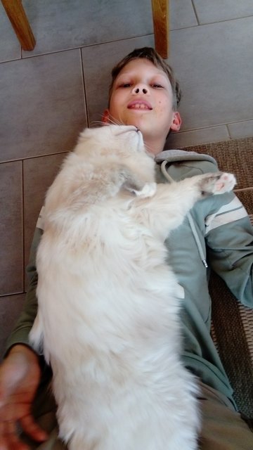 Louie ist ganz schön schwer