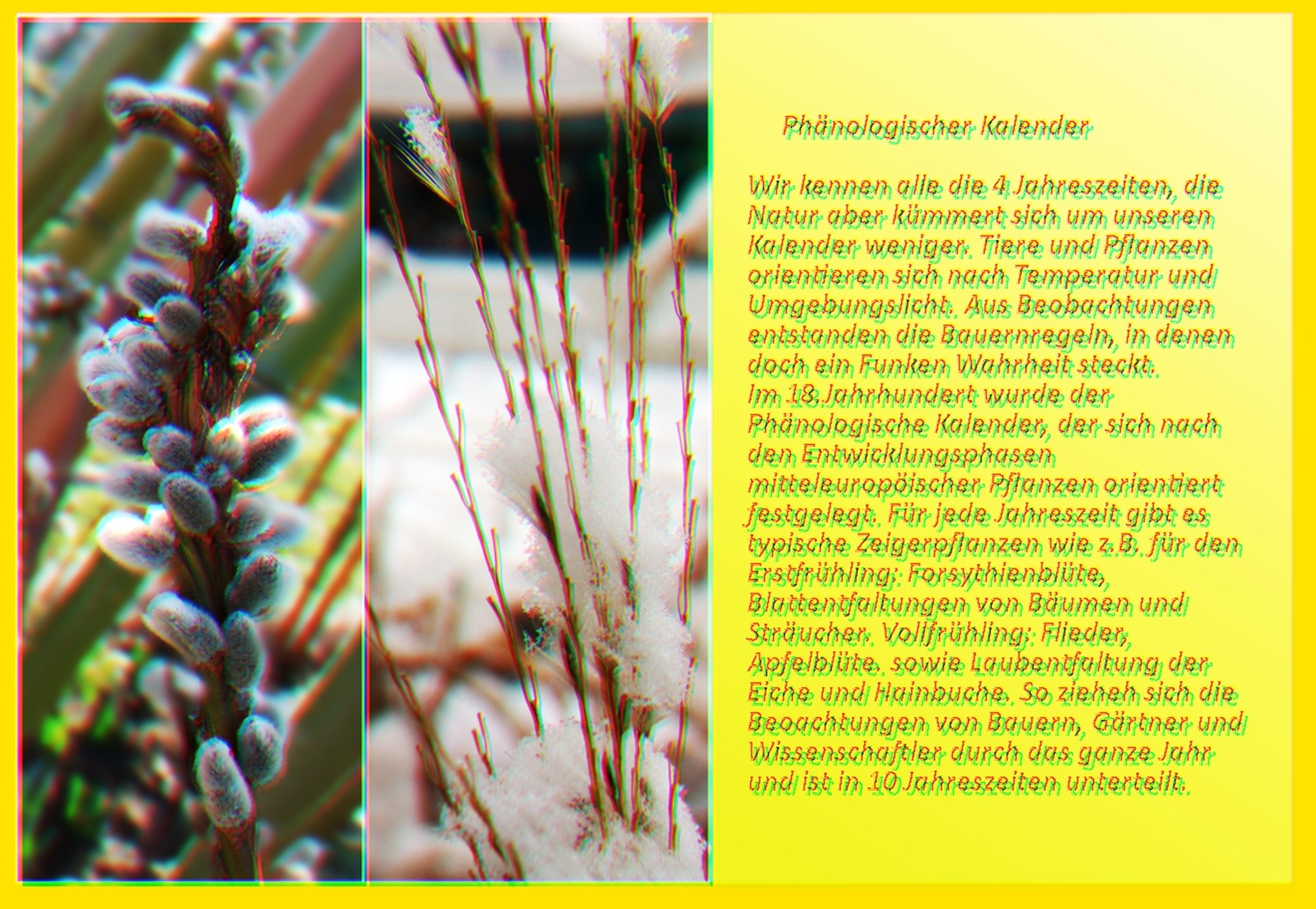 Kalender der Natur - Linz