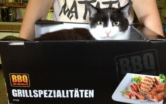 Zum schmunzeln