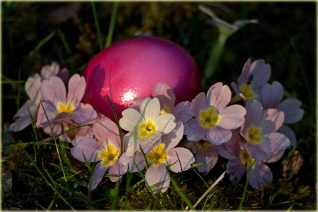 Foto: Gertraud Hölzl