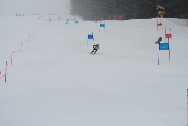 Foto: Gierlinger