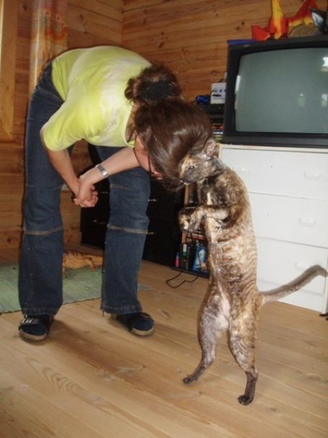 Von Shirin Riegler aus Dobermannsdorf