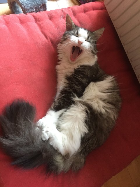 Müüüde