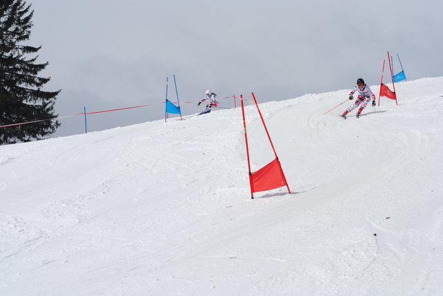 Foto: Gierlinger