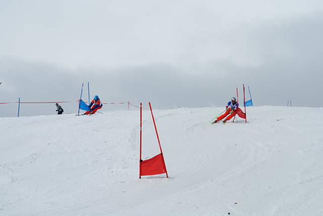 Foto: Gierlinger