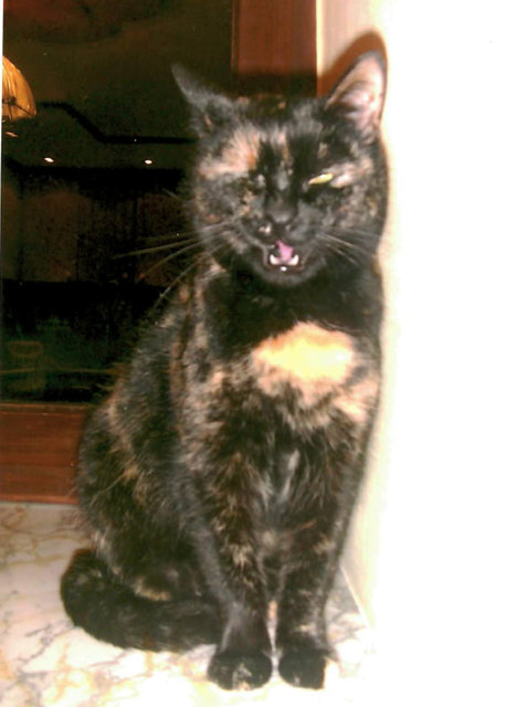 Mitzi von Erika Führer aus 3591 Altenburg