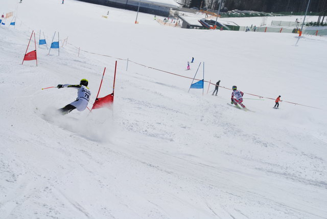 Foto: Gierlinger