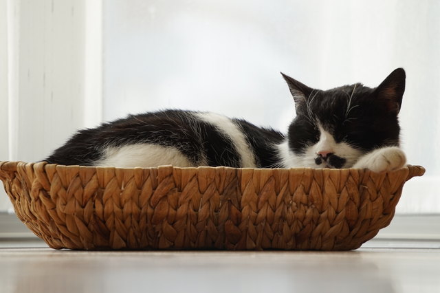 Chillen im Körberl