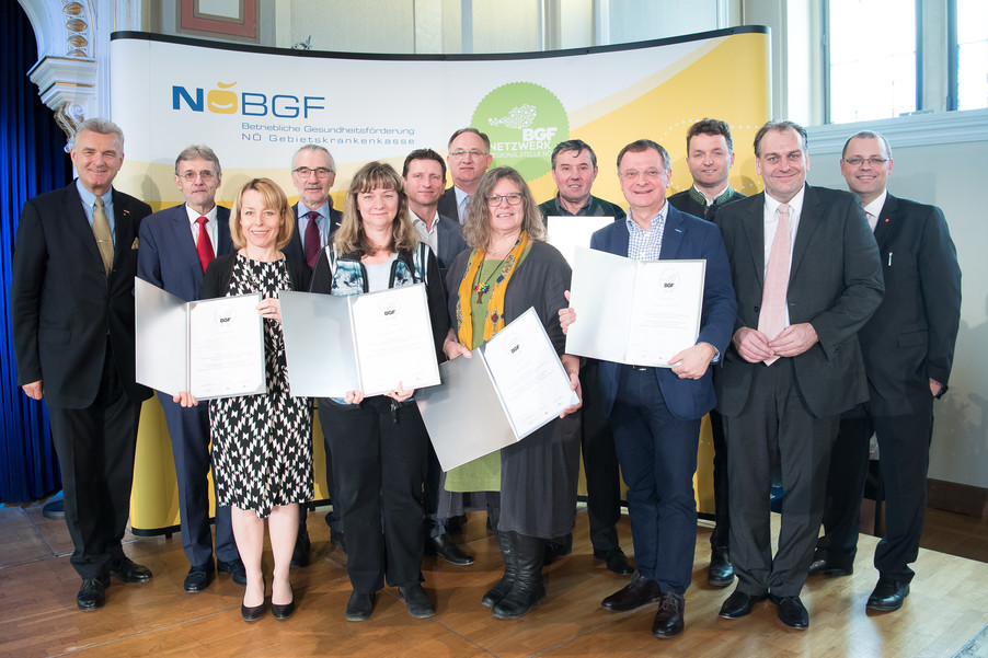 v.l.n.r. 1. Obmann-Stv. KommR Ing. Norbert Fidler (NÖGKK, WKONÖ), Sektionsleiter Hon. Prof. Dr. Gerhard Aigner (Bundesministerium), Maria Böhm (BauMit Wopfinger), 2. Obmann-Stv. KR Michael Pap (NÖGKK), Claudia Ringhofer (Wewalka) , Mag. Robert Bernhart (Autohaus Beisteiner), Johann Trimmel (Raika Wiesmath), Renate Goldmann, MAS (Verein Morgenstern), Johann Pichler (Landtechnik Pichler), Wilfried Hirmann, MBA CMC (Essecca), Dr. Bernhard Samm (Tierärzte), NR Andreas Kollross, Mag. Dr. Gert Lang (FGÖ)
