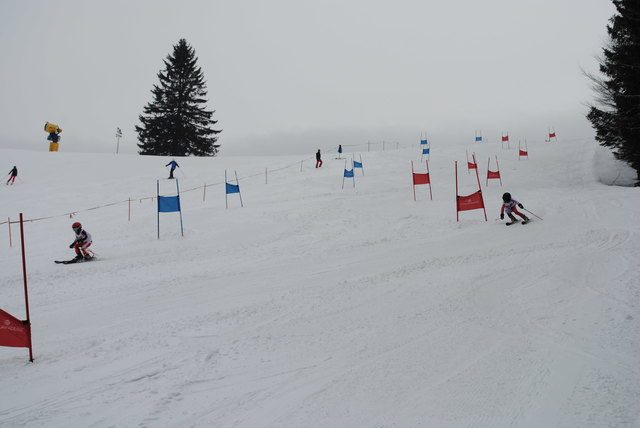 Foto: Gierlinger