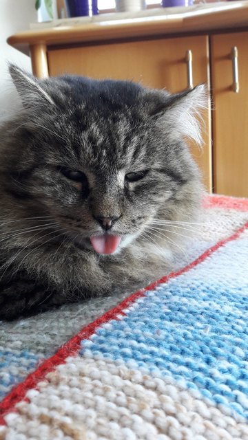 ;)