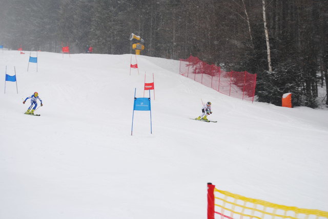 Foto: Gierlinger
