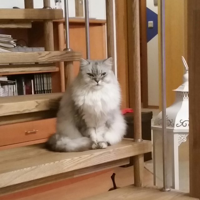 :)