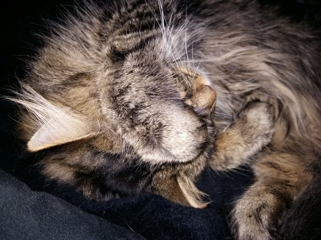 Samu