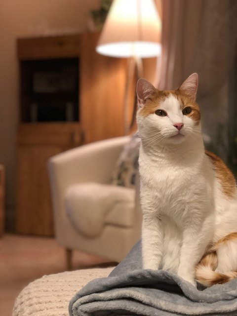 Von Maria Kittler aus Hagenbrunn