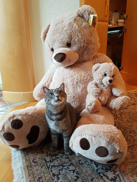 Lusi