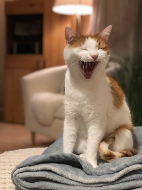 Von Maria Kittler aus Hagenbrunn
