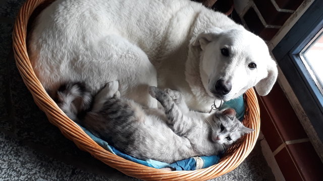 Beim Schmusen erwischt ;)
