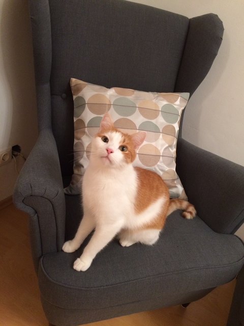 Von Maria Kittler aus Hagenbrunn