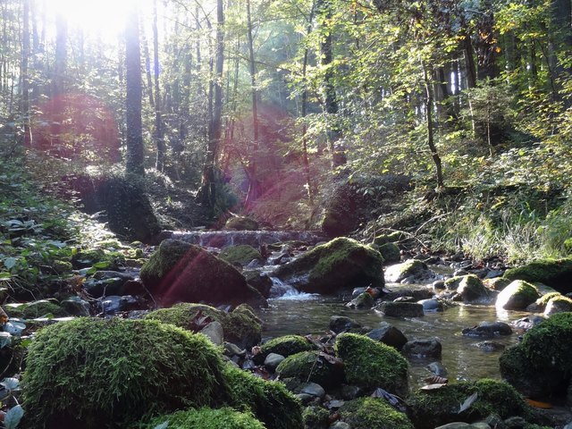 Obertrum am see single. Persenbeug-gottsdorf dating kostenlos. Singles den mllersdorf er sucht sie aus wolfern. Sding singlebrse. Ehrenhausen an der Mllersdorf er sucht sie. Geile sie sucht ihn kfi