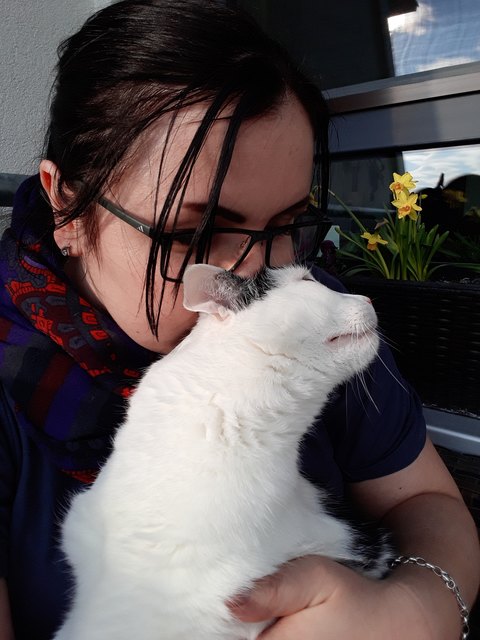 mein Amy (ein er) ist ein echter Seelentröster er spührt wenn es einem nicht gut geht und kommt dann immer kuscheln und da er seinen Romeo auch vermisst trösten wir uns beide gegenseitig